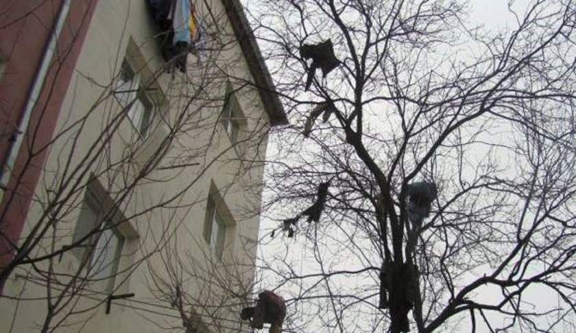 Soţul i-a aruncat nevestei toate hainele pe geam, Femeia a chemat pompierii să i le dea jos din copaci, cearta in familie sot sotie, violenta domestica 