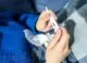 ANSP raportează o cădere cu 23% a cazurilor de infecții respiratorii pe parcursul săptămânii precedente