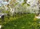 Prognoza meteo: În nordul țării astăzi este mai cald decât în regiunea de sud
