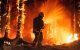 Incendiu la o fermă din Șipca a dus la moartea a peste 700 de porci