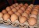 ANSA a distrus peste 1,8 milioane de ouă după depistarea unui antibiotic interzis