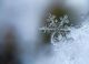 Termometre arătând temperaturi minime de până la -17 grade Celsius noaptea pe 10 februarie 2026