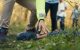 Un bărbat de 27 de ani și un minor au fost trimiși în judecată pentru răpire și omor comis cu deosebită cruzime la Telenești
