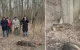 Trei mistreți morți găsiți în apropiere de Sărata Răzeși, Leova, în contextul suspiciunii de pestă porcină africană