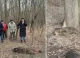 Trei mistreți morți găsiți în apropiere de Sărata Răzeși, Leova, în contextul suspiciunii de pestă porcină africană