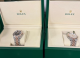 Două ceasuri Rolex nedeclarate în valoare de peste 28.000 Euro depistate la controlul vamal Leușeni