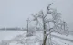 ACTUALIZARE // Vremea severă din 18 februarie a lăsat fără energie electrică consumatori din șase raioane, cinci localități afectate la Vulcănești