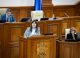 Inițiativă legislativă a deputatului Victoria Belous: Companiile nu vor mai putea fi executate de FISC până la limita datoriilor pe care statul le are față de ele