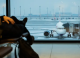 Aeroportul Berlin-Brandenburg anulează zboruri din cauza poleiului și gheții pe piste