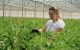 Ministerul Agriculturii lansează apelul de granturi AGGRI extins pentru sectoare agricole diverse în Republica Moldova