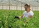 Ministerul Agriculturii lansează apelul de granturi AGGRI extins pentru sectoare agricole diverse în Republica Moldova