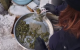 Descinderi în Florești: Substanțe vegetale și arme ridicate în trei localități