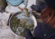 Descinderi în Florești: Substanțe vegetale și arme ridicate în trei localități