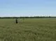 AIPA a autorizat plata a 31,75 milioane de lei pentru proiecte agricole