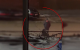 Doi tineri din Comrat reținuți pentru escrocherii prin schema cu ruda implicată în accident rutier