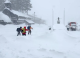 Opt schiori au murit în urma unei avalanșe în California