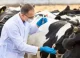 Sistem consolidat de prevenire și control al bolilor animale în Republica Moldova