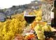 Oamenii beau tot mai puțin vin: Consumul mondial a atins cel mai scăzut nivel din ultimii aproape 70 de ani