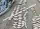 Braconaj piscicol depistat în flagrant pe lacul Costești–Stânca