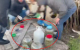 VIDEO // Peste 40 kg de marijuana, în valoare de peste 14 milioane de lei, au fost ridicate la Anenii Noi. Un bărbat a fost arestat