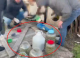 VIDEO // Peste 40 kg de marijuana, în valoare de peste 14 milioane de lei, au fost ridicate la Anenii Noi. Un bărbat a fost arestat