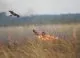 IGSU avertizează asupra riscului crescut de incendii de vegetație. Zeci de intervenții în ultimele 24 de ore