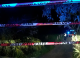 Un moldovean de 38 de ani a fost găsit mort într-o pădure din Italia