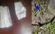 Polițiștii au documentat mai multe cazuri de deținere de droguri în sectoarele Ciocana și Botanica din Chișinău