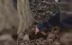 Poliția a reținut cinci persoane și a ridicat peste 11 kg de droguri în Chișinău