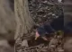 Poliția a reținut cinci persoane și a ridicat peste 11 kg de droguri în Chișinău