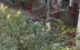 Un bărbat din Chișinău a fost reținut pentru o serie de furturi din apartamente