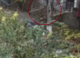 Un bărbat din Chișinău a fost reținut pentru o serie de furturi din apartamente