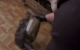 INI a destructurat un grup suspectat trafic de arme și droguri în sudul țării