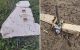 ULTIMA ORĂ // Detalii de la Armată despre fragmentele de dronă depistate astăzi la Telenești