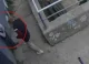 ULTIMA ORĂ // Minor agresat în sectorul Rîșcani al capitalei. Poliția s-a autosesizat și a identificat persoanele implicate