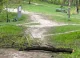 ULTIMA ORĂ // Bărbat de 85 de ani, ucis de un copac doborât de vânt într-un parc din Chișinău