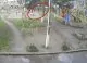 O haită de câini fără stăpân a atacat un copil în Chișinău