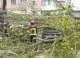 Conducerea Î.M. Spații Verzi a planificat extragerea arborilor periculoși, din capitală, până pe 1 mai