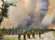 Sute de persoane evacuate și peste 50 de case distruse, în urma incendiilor de vegetație din sud-estul Statelor Unite