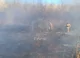 Un incendiu de vegetație a izbucnit în Cobasna