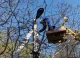 Primăria Chișinău a efectuat lucrări de întreținere și modernizare a iluminatului public în toate sectoarele orașului și suburbii