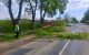 Copaci căzuți pe mai multe drumuri naționale din Moldova. Trafic afectat pe mai multe tronsoane