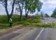 Copaci căzuți pe mai multe drumuri naționale din Moldova. Trafic afectat pe mai multe tronsoane