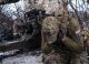 În Rusia au fost înregistrate un număr record de infracțiuni grave comise de militari