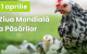 Astăzi este Ziua Internațională a Păsărilor