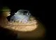 ACTUALIZARE // Persoanele date în căutare după ce un automobil a fost luat de ape la Hîrjauca au fost găsite în siguranță