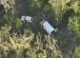 VIDEO // Șapte persoane, reținute într-un dosar privind defrișări ilegale în nordul Republicii Moldova