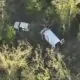VIDEO // Șapte persoane, reținute într-un dosar privind defrișări ilegale în nordul Republicii Moldova