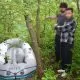Zece migranți, depistați în apropierea Prutului. Doi au traversat ilegal frontiera, iar alți opt au fost opriți înainte de intrarea în România