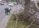 FOTO // Vânt puternic în Chișinău: Un arbore doborât și crengi rupte pe mai multe străzi